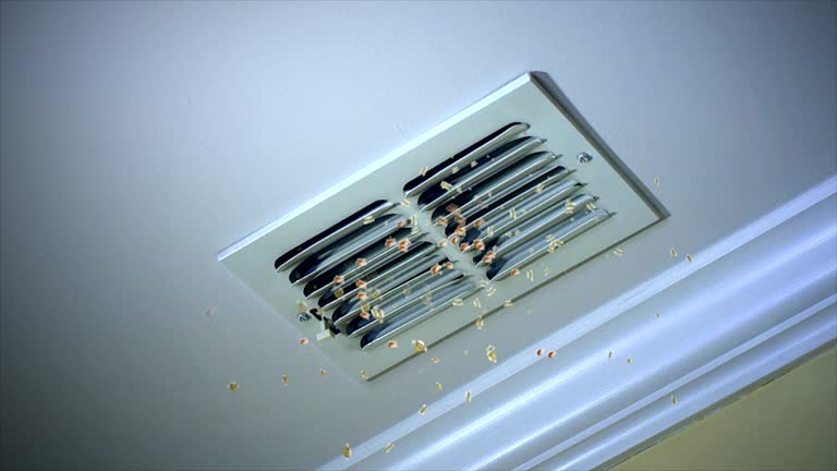 Best Affordable HVAC Duct Cleaning  in Rockford, MI